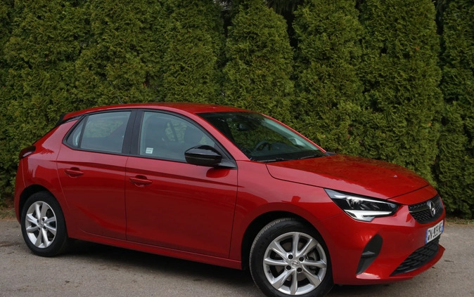 Opel Corsa cena 48900 przebieg: 17000, rok produkcji 2023 z Białystok małe 562